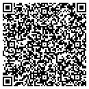 QR code with Clifford W Plunkett contacts