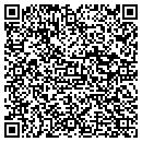 QR code with Process Phonics Inc contacts