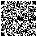 QR code with Carson's Carpet Inc contacts