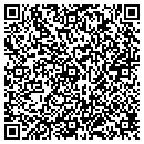 QR code with Career Development Institute contacts