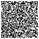 QR code with Precision Paragon contacts