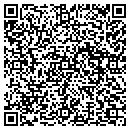 QR code with Precision Stampings contacts