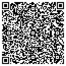 QR code with Pro Auto Electric Inc contacts