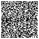 QR code with Pursuit Dynamics contacts