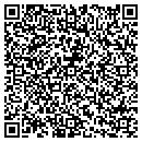QR code with Pyromate Inc contacts