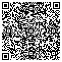 QR code with Laser Adventure LLC contacts