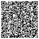 QR code with Process Automation Co contacts