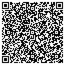 QR code with Pulse Systems Inc contacts
