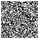 QR code with Pro Net Systems Inc contacts