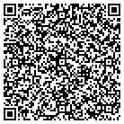 QR code with Professional Systems Tech contacts