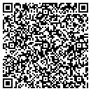 QR code with Blue Vision Home LLC contacts