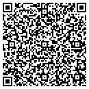 QR code with B & V Puppies contacts