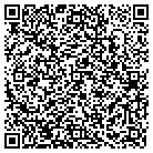 QR code with Pulsar Electronics Inc contacts