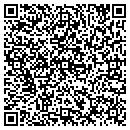 QR code with Pyrometric Service CO contacts