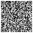 QR code with Pristine Power contacts