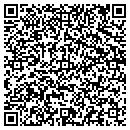 QR code with PR Electric Inc. contacts