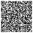 QR code with Cybaris Consulting contacts