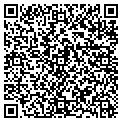 QR code with Studer contacts