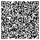 QR code with Professional Security contacts