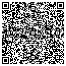 QR code with Pyrocom Systems Inc contacts