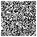 QR code with Propultion Systems contacts