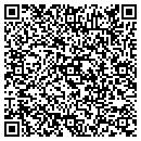 QR code with Precision Interconnect contacts