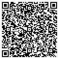 QR code with Vitek contacts