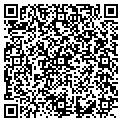 QR code with Q Wireless LLC contacts