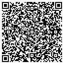 QR code with Process Solutions contacts