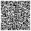 QR code with Prg Lighting contacts