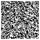 QR code with Pulse Width Recon Inc contacts