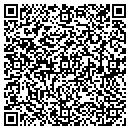QR code with Python Systems LLC contacts