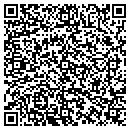 QR code with Psi Control Solutions contacts