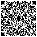 QR code with Puroflux Corp contacts