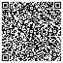 QR code with precision electronics contacts