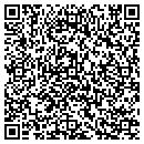 QR code with Pribusin Inc contacts