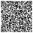 QR code with Pulse Systems Inc contacts