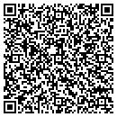 QR code with Ptec-Usa Inc contacts
