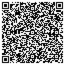 QR code with Protronics Inc contacts