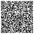 QR code with Pulsar Inc contacts