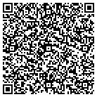 QR code with Pulse Contract Mfg contacts