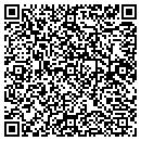QR code with Precise Memory Inc contacts