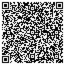 QR code with Pvee LLC contacts