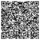 QR code with Pvm Lines & Service LLC contacts