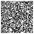 QR code with Primitive Pineapple contacts