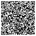 QR code with Marvex contacts