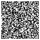 QR code with Pulp & Paper LLC contacts