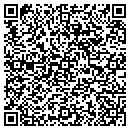 QR code with Pt Greenland Inc contacts
