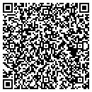 QR code with Pretty In Ink contacts