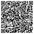 QR code with Solsax contacts